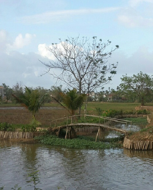 Sông Thoa, dự án du lịch cộng đồng xóm Cây Gạo